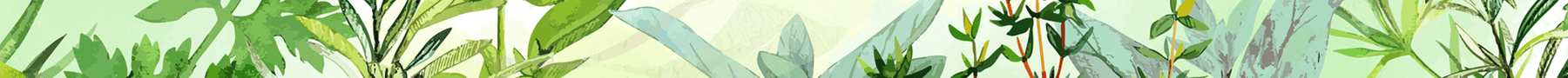 footer